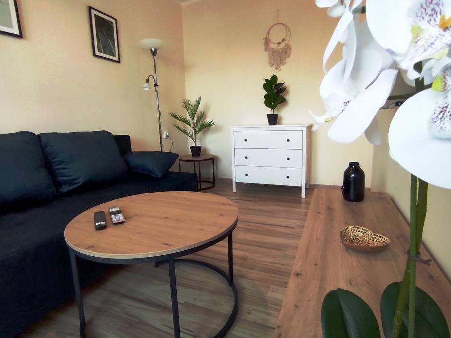 ***Santorini Apartament*** - 40M² ✓ Рибник Екстериор снимка